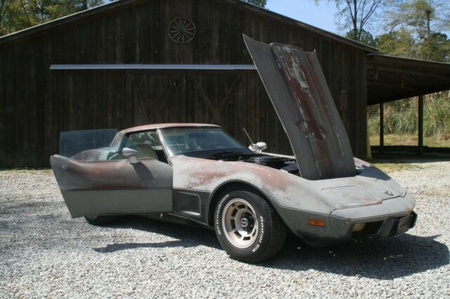 1978 Chevrolet Corvette Silver Anniversary - photo 13