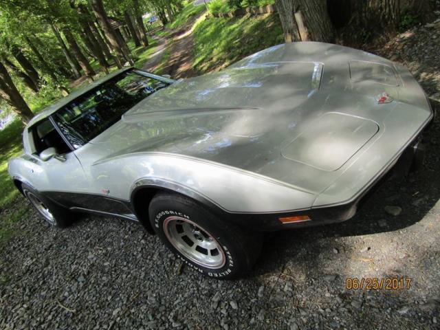 1978 Chevrolet Corvette silver anniversery - photo 3
