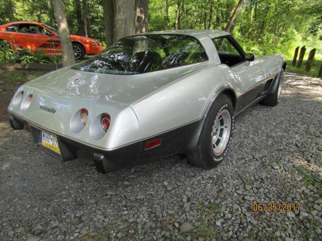1978 Chevrolet Corvette silver anniversery - photo 4