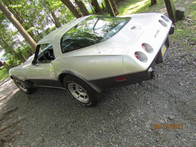 1978 Chevrolet Corvette silver anniversery - photo 8