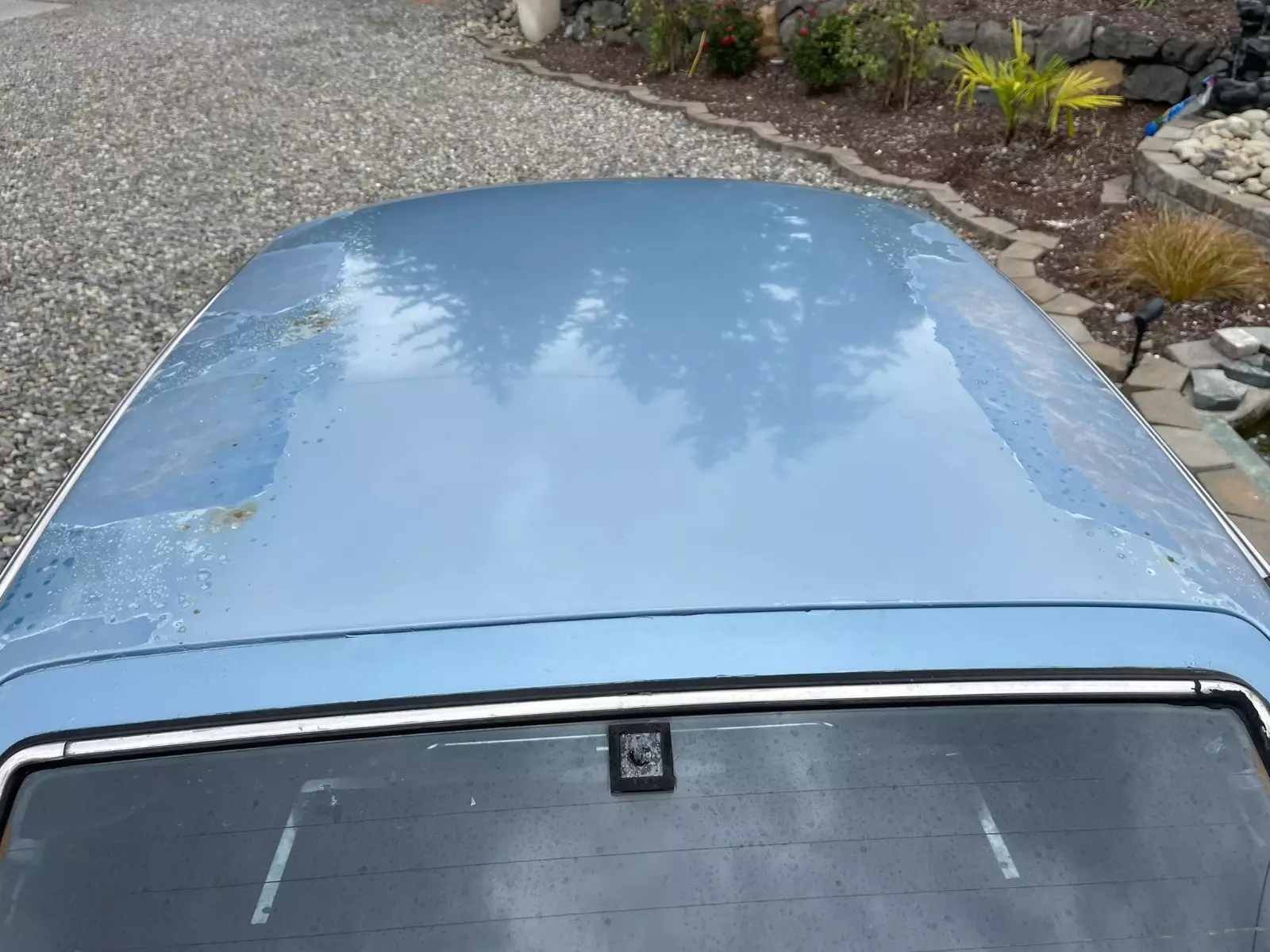 1978 Datsun Z-Series Z Series - photo 10