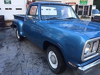 1978 Dodge Other Pickups D-100 - photo 2