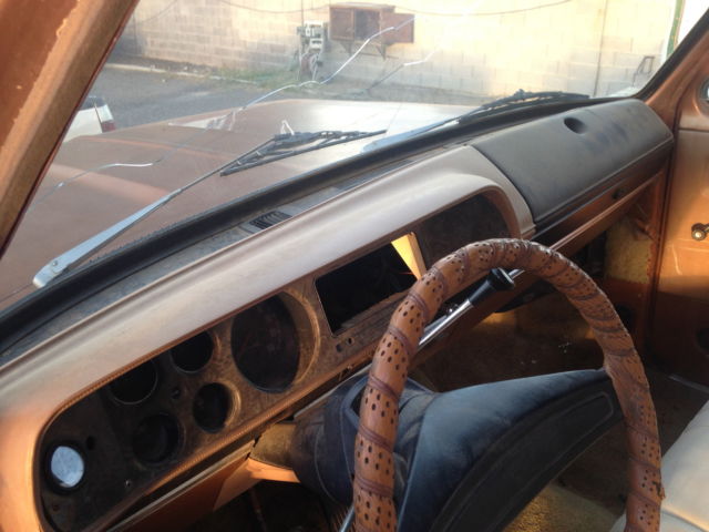 1978 Dodge Other Pickups d100 - photo 8