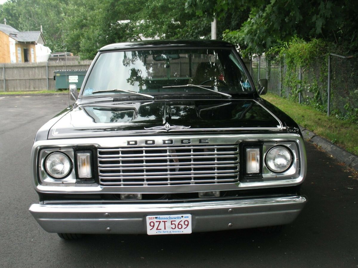 1978 Dodge Other Pickups - photo 8