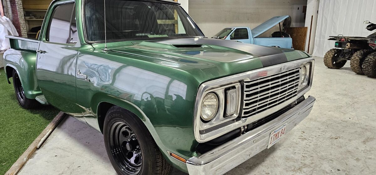1978 Dodge Other Pickups Custom - photo 11