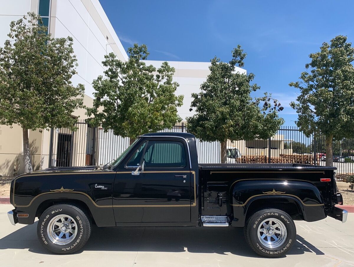 1978 Dodge Other Pickups - photo 11