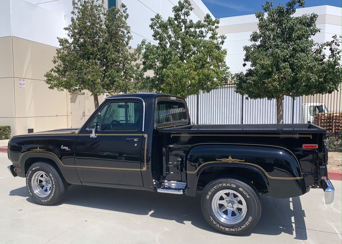 1978 Dodge Other Pickups - photo 13