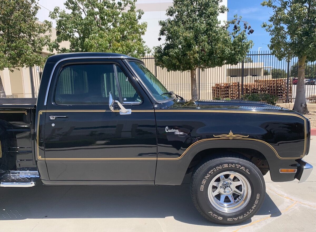 1978 Dodge Other Pickups - photo 7