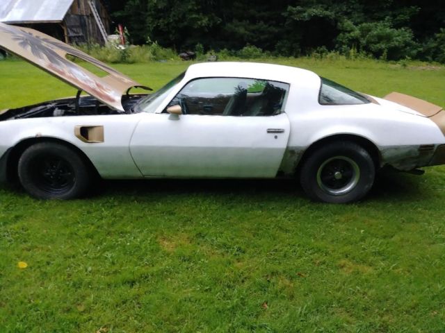 1978 Pontiac Trans Am - photo 4