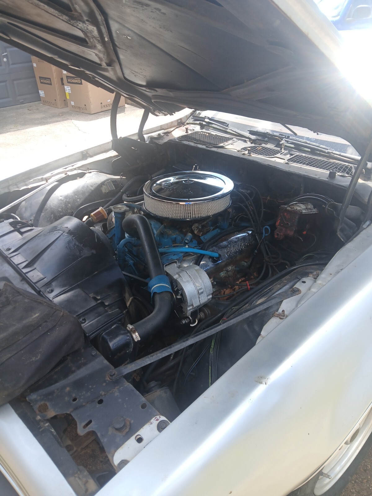1978 Pontiac Firebird - photo 4