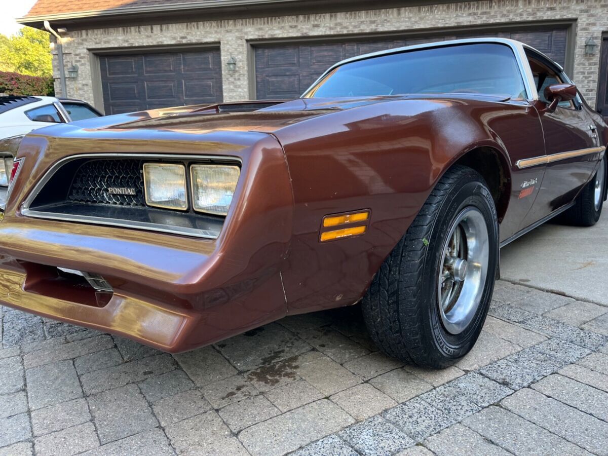 1978 Pontiac Firebird - photo 9