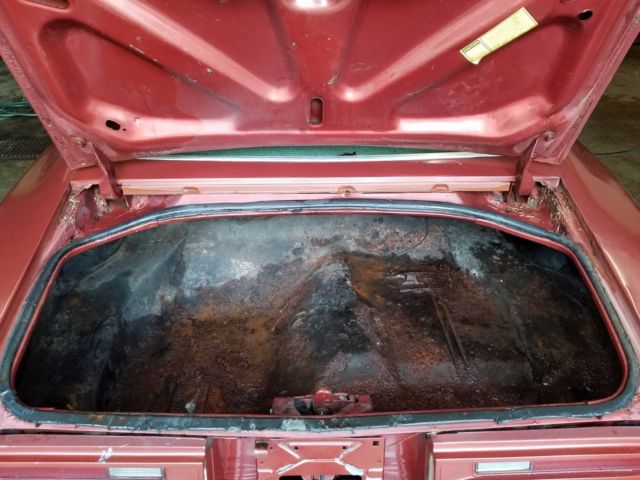 1978 Pontiac Firebird - photo 11