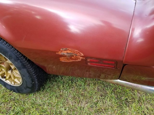 1978 Pontiac Firebird - photo 6