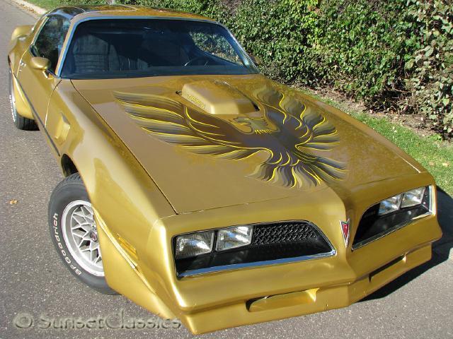 1978 Pontiac Trans Am Deluxe Trim Package - photo 6