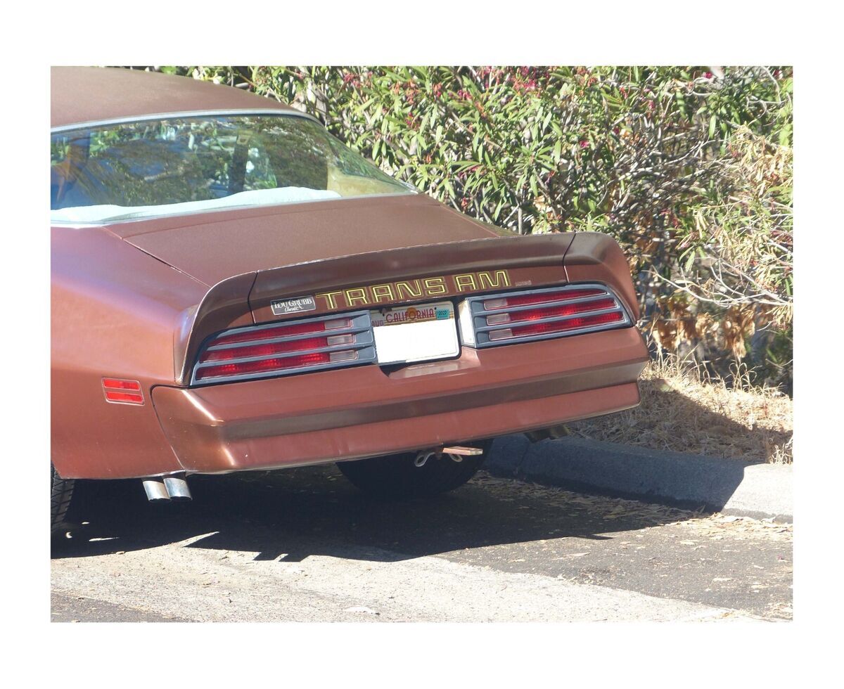 1978 Pontiac Trans Am - photo 4
