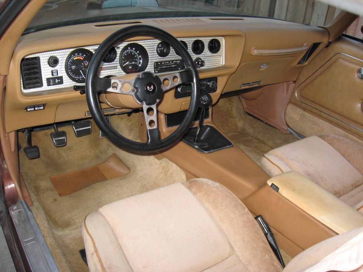 1978 Pontiac Trans Am - photo 6