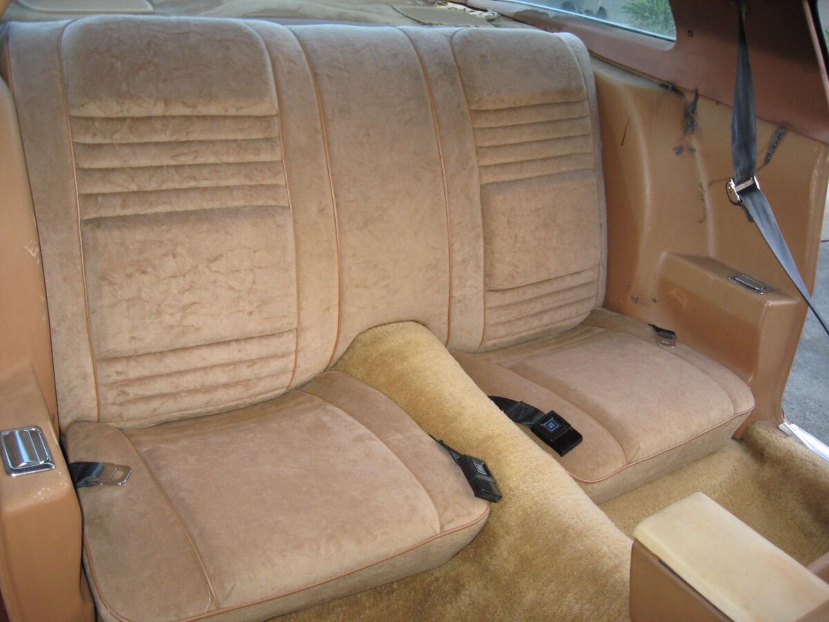 1978 Pontiac Trans Am - photo 8