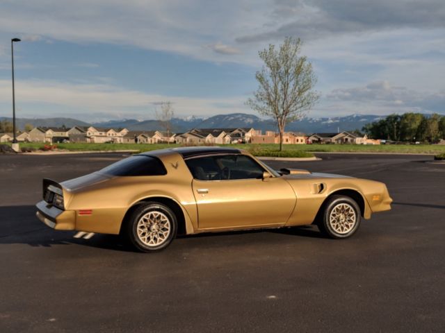 1978 Pontiac Firebird Y88 Solar Gold, Special Edition - photo 2