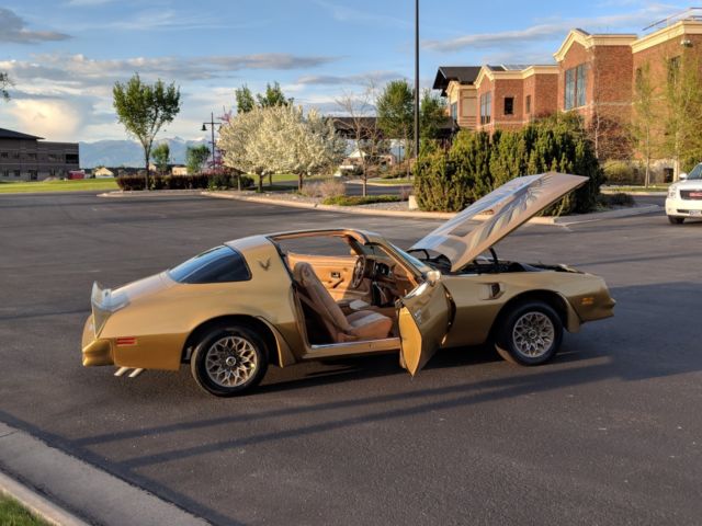 1978 Pontiac Firebird Y88 Solar Gold, Special Edition - photo 4