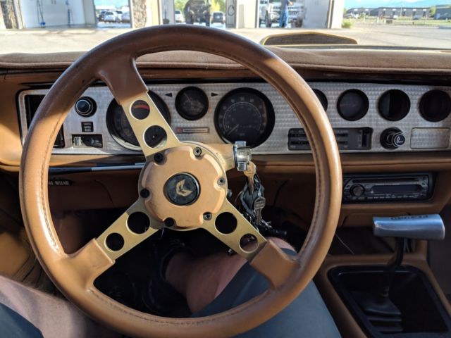 1978 Pontiac Firebird Y88 Solar Gold, Special Edition - photo 5