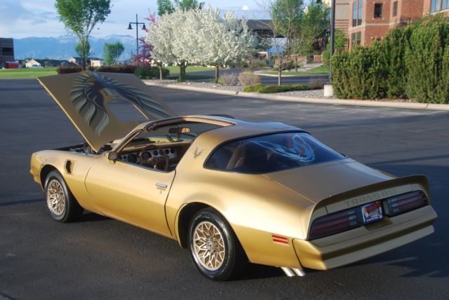 1978 Pontiac Firebird Y88 Solar Gold, Special Edition - photo 6