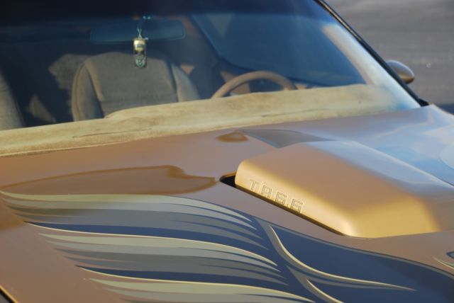 1978 Pontiac Firebird Y88 Solar Gold, Special Edition - photo 8