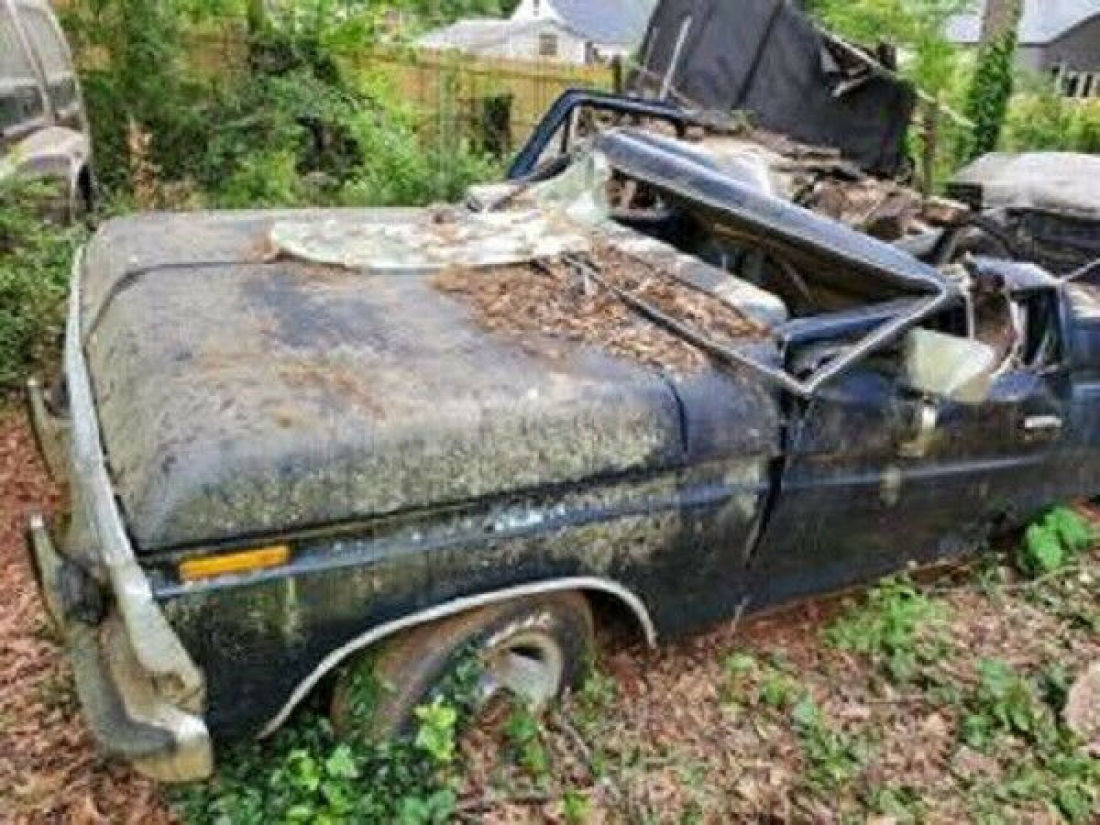1978 Ford F-100 Ranger - photo 5