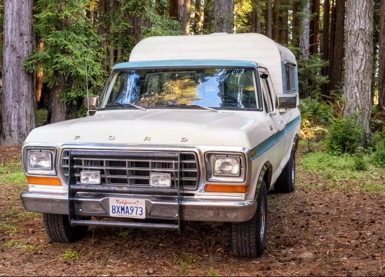 1978 Ford F-150 - photo 2