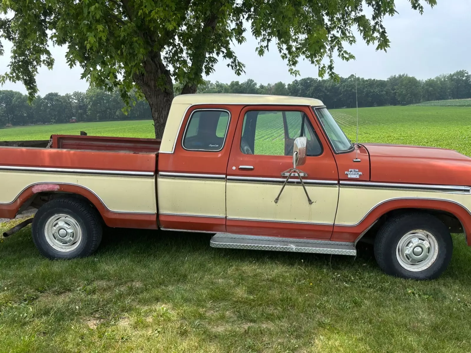 1978 Ford F-150 - photo 3