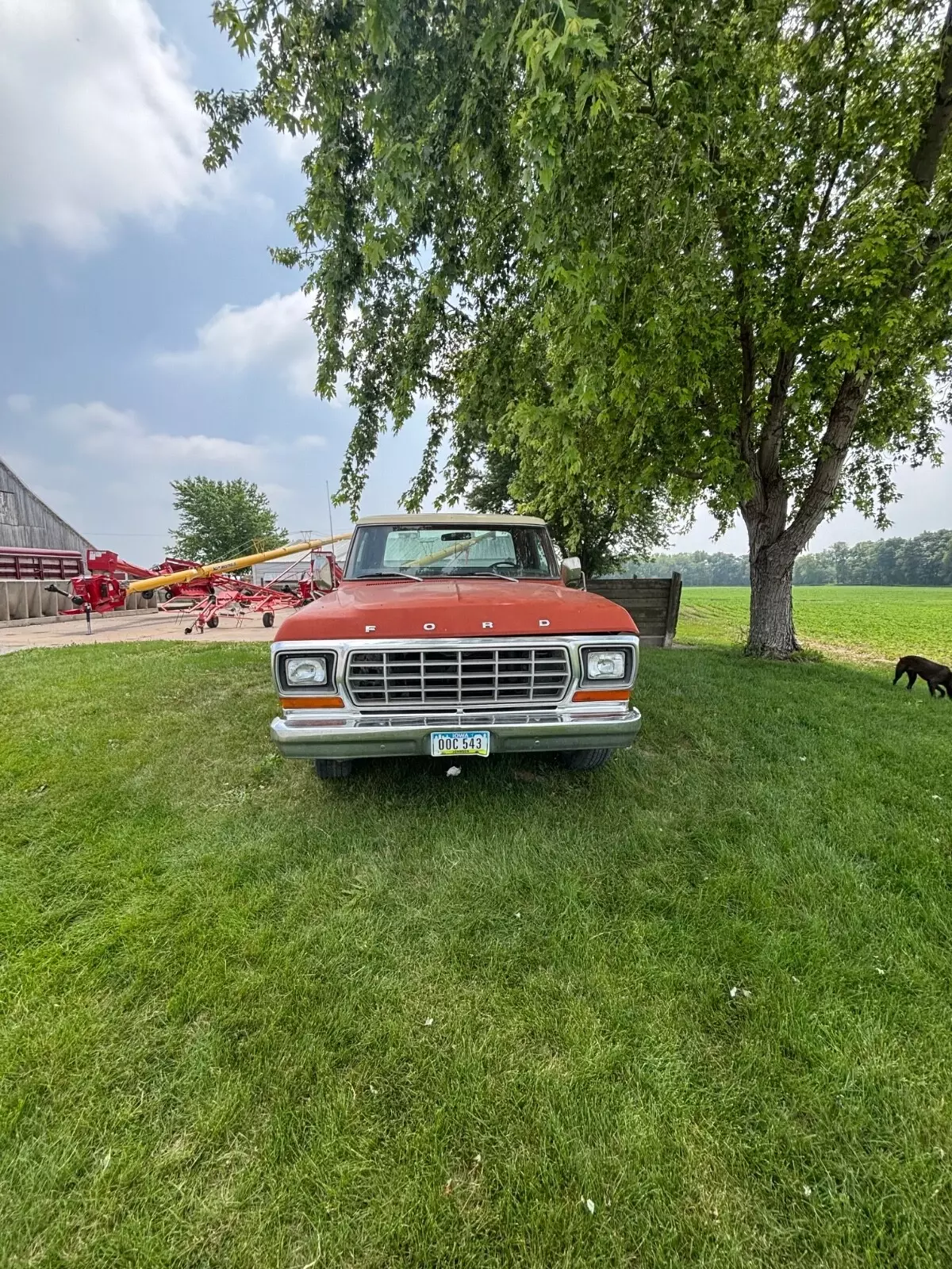1978 Ford F-150 - photo 5