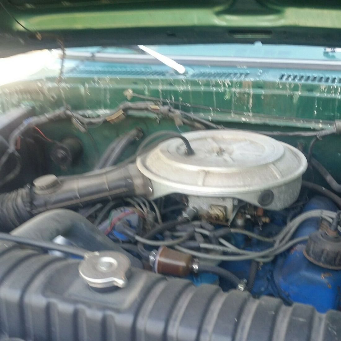 1978 Ford F-250 - photo 5