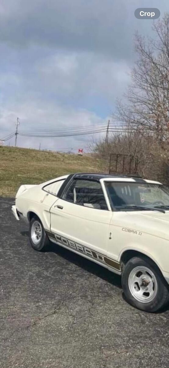 1978 Ford Mustang Cobra II - photo 2