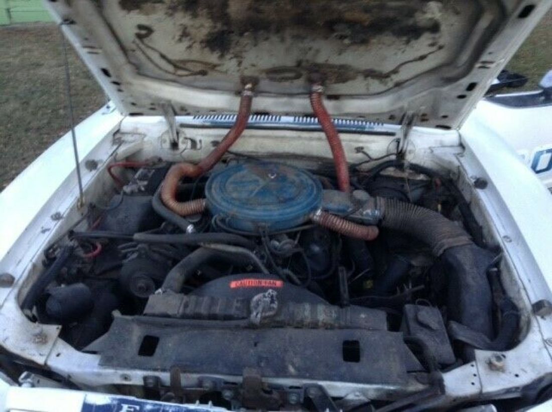 1978 Ford Mustang - photo 8