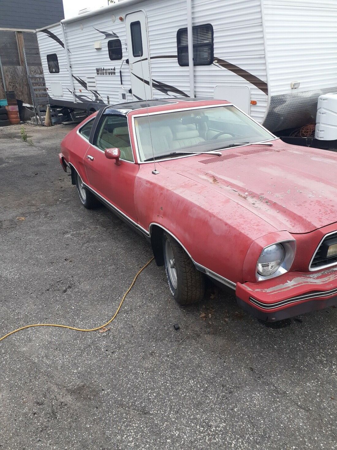 1978 Ford Mustang Mach 1 302 - photo 2