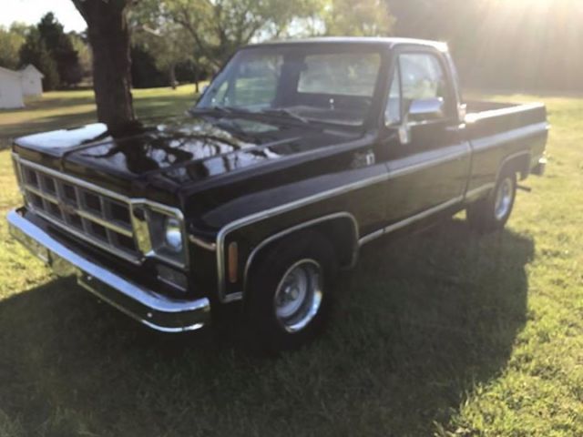 1978 GMC Sierra 1500 Sierra Classic - photo 4