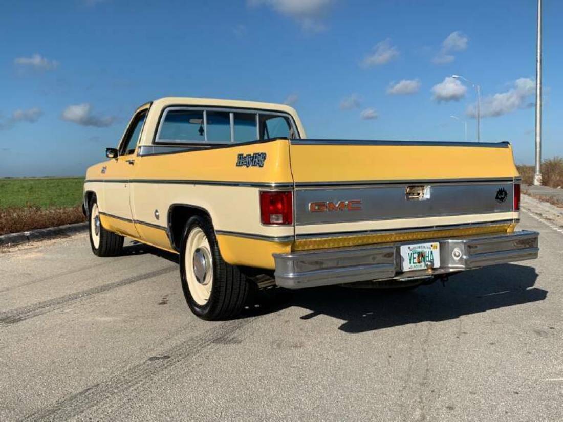 1978 GMC Sierra 1500 SIERRA HEAVY HALF - photo 13