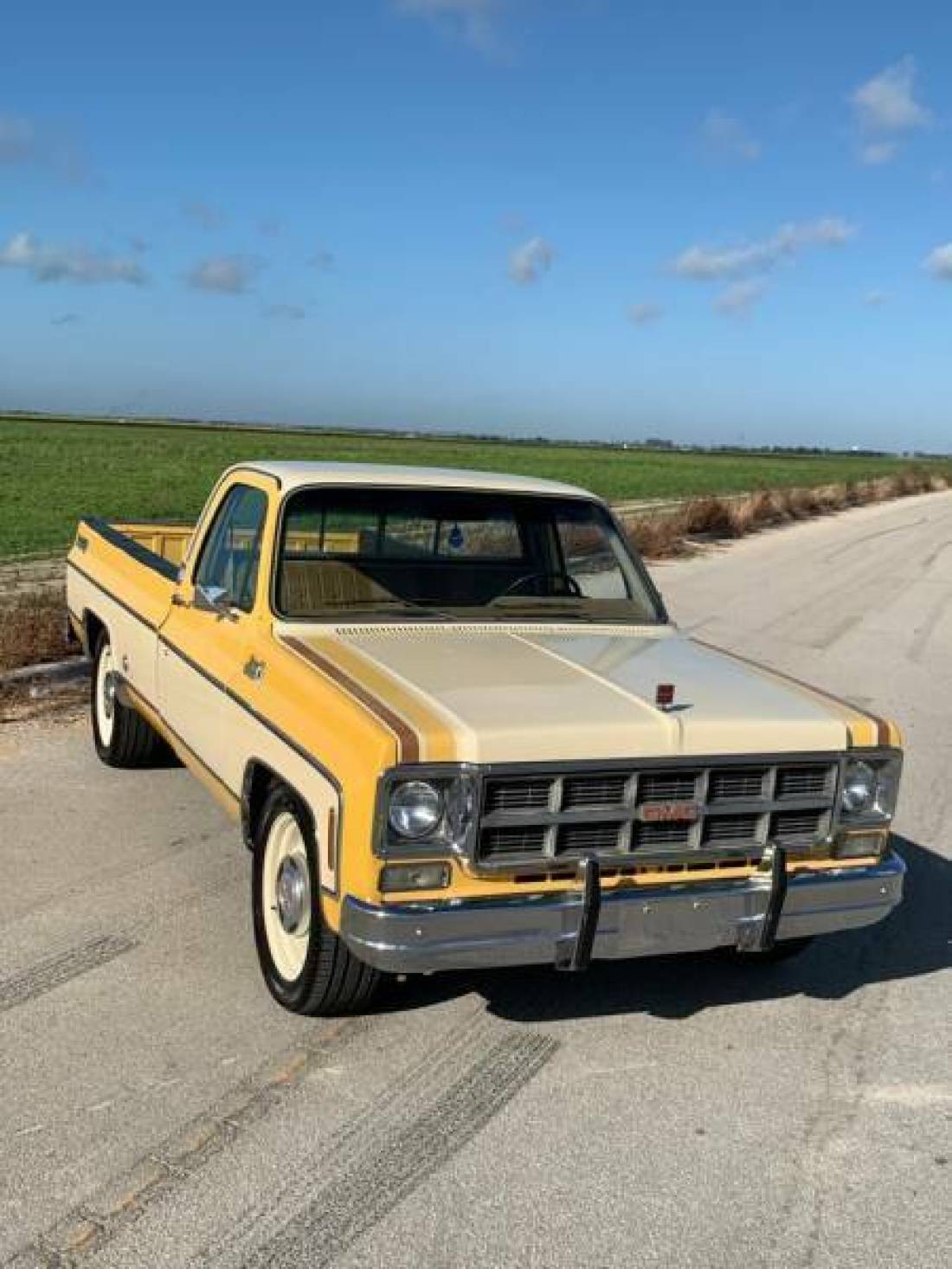1978 GMC Sierra 1500 SIERRA HEAVY HALF - photo 5
