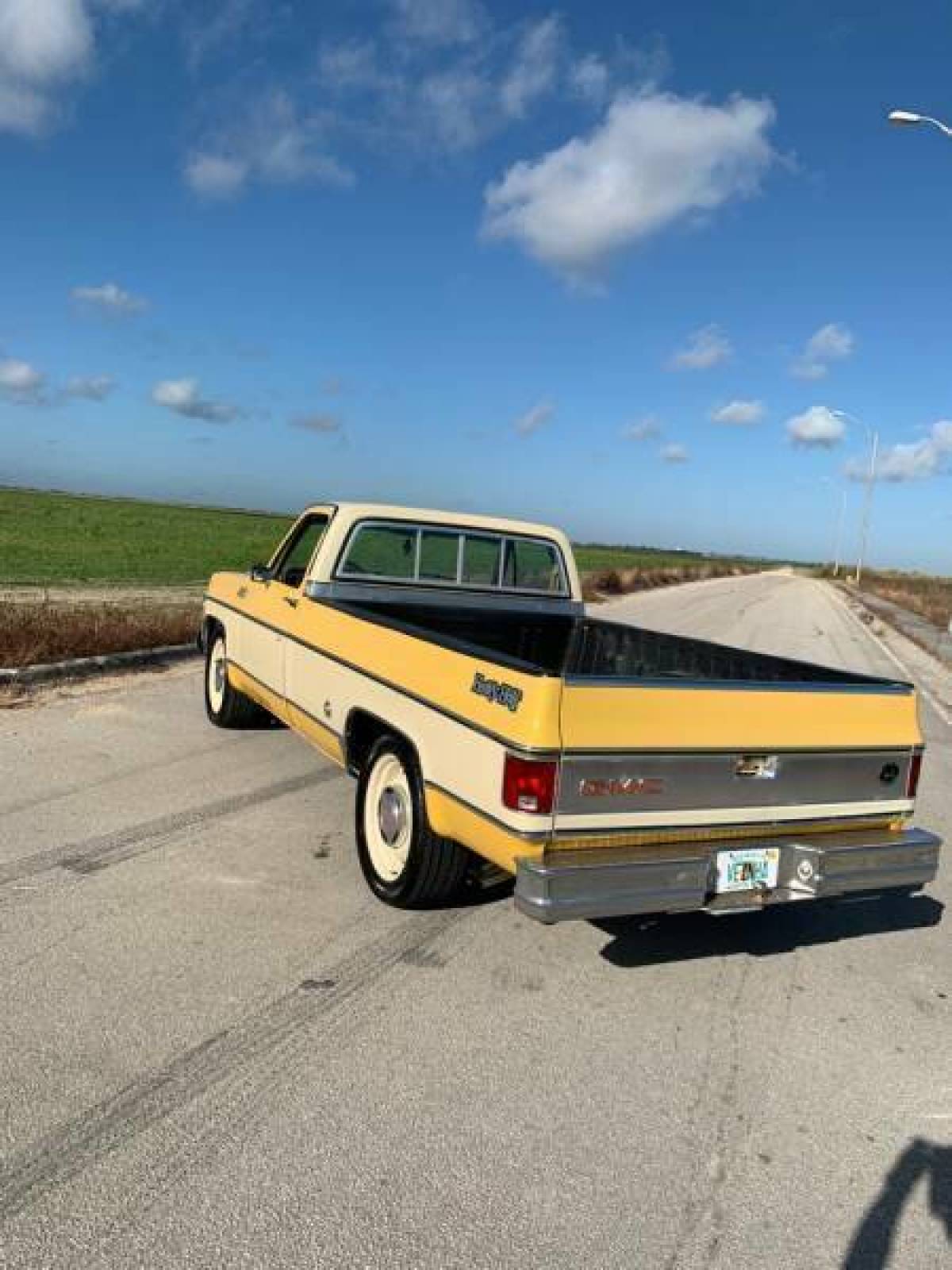 1978 GMC Sierra 1500 SIERRA HEAVY HALF - photo 12