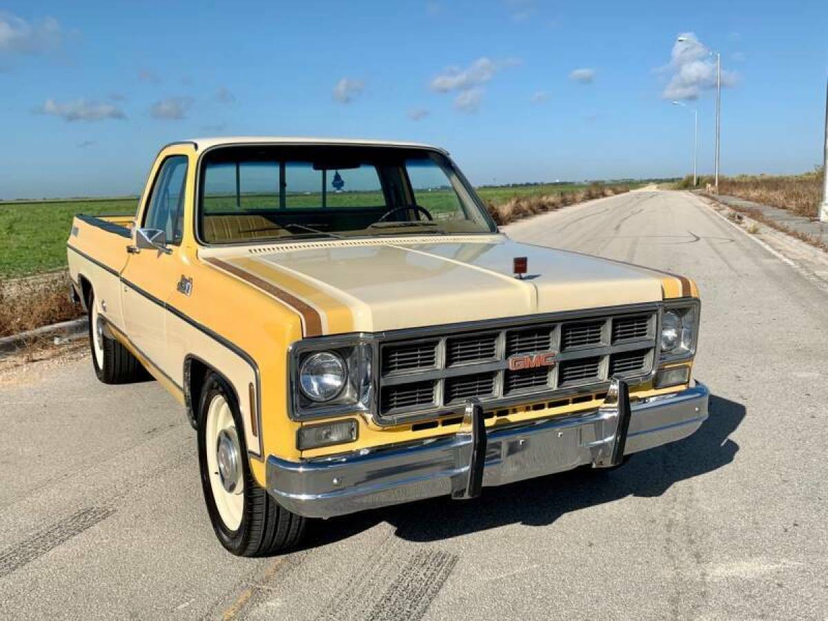 1978 GMC Sierra 1500 SIERRA HEAVY HALF - photo 3