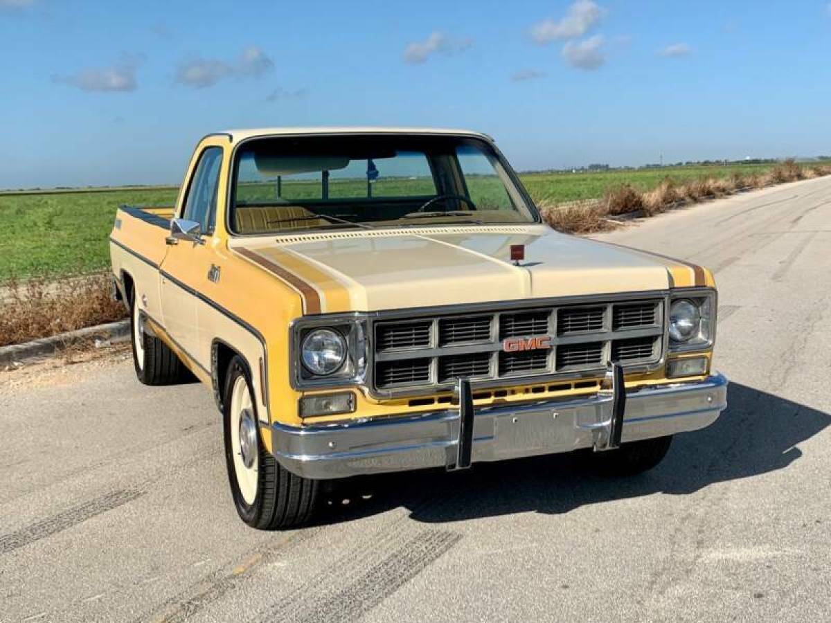 1978 GMC Sierra 1500 SIERRA HEAVY HALF - photo 7