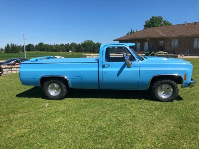 1978 GMC Sierra 1500 SIERRA - photo 3