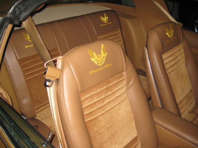 1978 Pontiac Trans Am Custom - photo 8