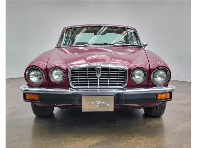 1978 Jaguar XJ12 - photo 5