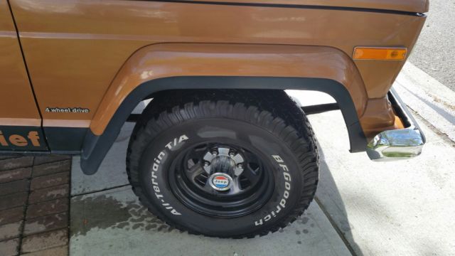 1978 Jeep Cherokee Cherokee Chief WT - photo 12