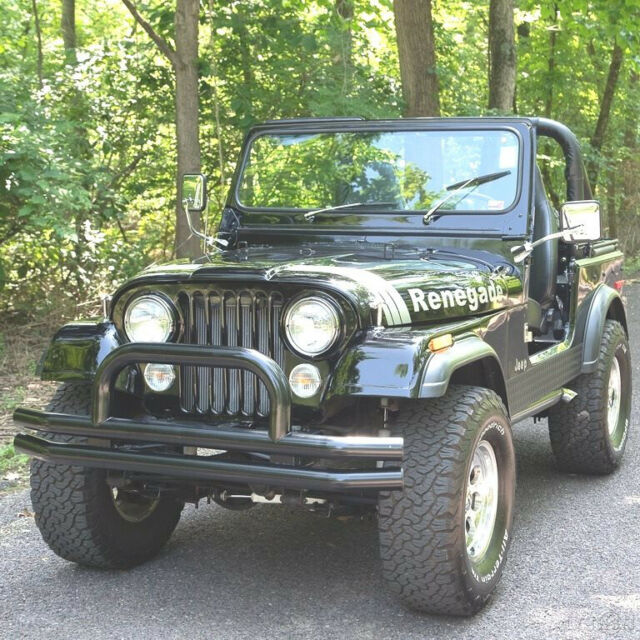 1978 Jeep Renegade Jeep - photo 3