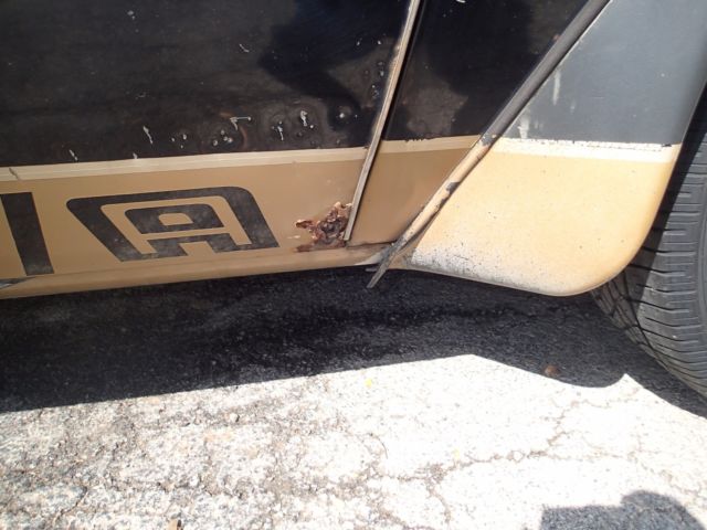 1978 Pontiac Trans Am - photo 10