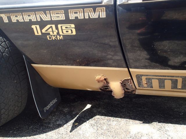 1978 Pontiac Trans Am - photo 13