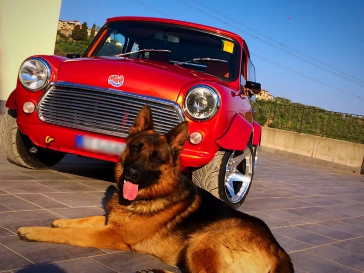 1978 Austin Mini 1978 AUSTIN MINI Z CARS YAMAHA 1000 R1 Engine - photo 3