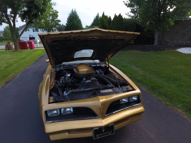 1978 Pontiac Trans Am - photo 7