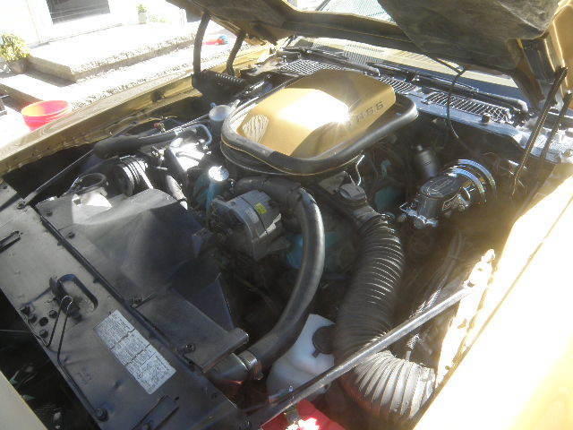 1978 Pontiac Trans Am - photo 8